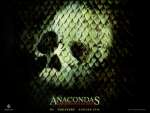 Wallpaper do Filme Anaconda 2 (Anacondas - The Hunt for the Blood Orchid) n.01