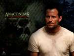 Wallpaper do Filme Anaconda 2 (Anacondas - The Hunt for the Blood Orchid) n.03