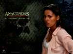 Wallpaper do Filme Anaconda 2 (Anacondas - The Hunt for the Blood Orchid) n.06