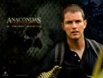 Wallpaper do Filme Anaconda 2 (Anacondas - The Hunt for the Blood Orchid) n.09