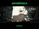 Wallpaper do Filme Animatrix (The Animatrix) n.01
