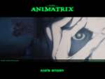 Wallpaper do Filme Animatrix (The Animatrix) n.05