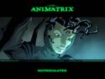 Wallpaper do Filme Animatrix (The Animatrix) n.08