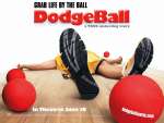 Wallpaper do Filme Com a Bola Toda (Dodgeball: A True Underdog Story) n.01
