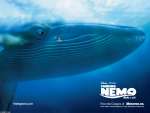 Wallpaper do Filme Procurando Nemo (Finding Nemo) n.01