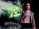 Wallpaper do Filme Harry Potter e o Clice de Fogo (Harry Potter and the Goblet of Fire) n.07
