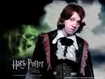 Wallpaper do Filme Harry Potter e o Clice de Fogo (Harry Potter and the Goblet of Fire) n.08