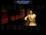Wallpaper do Filme Matrix (The Matrix) n.04