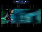 Wallpaper do Filme Matrix (The Matrix) n.05