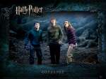 Wallpaper do Filme Harry Potter e a Ordem da Fnix (Harry Potter and The Order of the Phoenix) n.04