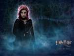 Wallpaper do Filme Harry Potter e a Ordem da Fnix (Harry Potter and The Order of the Phoenix) n.07