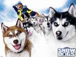 Wallpaper do Filme Neve Pra Cachorro (Snow Dogs) n.01
