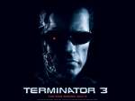 Wallpaper do Filme O Exterminador do Futuro 3: A Rebelio das Mquinas (Terminator 3: Rise of the Machines) n.15